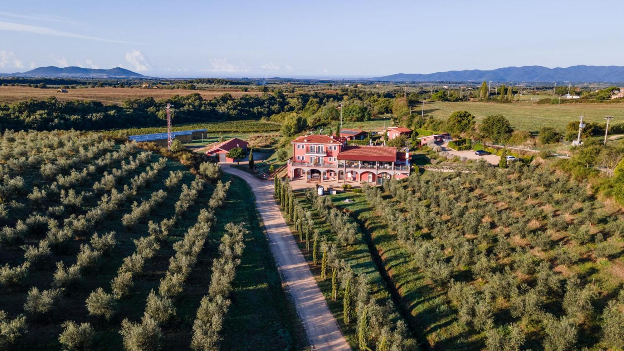 Il Podere Di Marfisa Farnese Ngoại thất bức ảnh